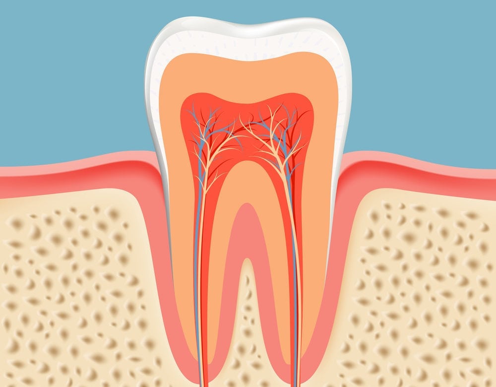 Root Canal - Alameda Dental Care in Tempe, AZ